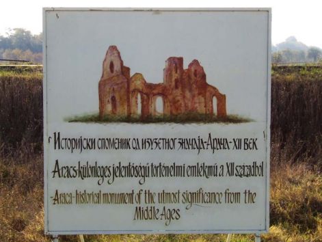 araca_100.jpg